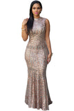 Blush Sequins Keyhole Back Party Gown